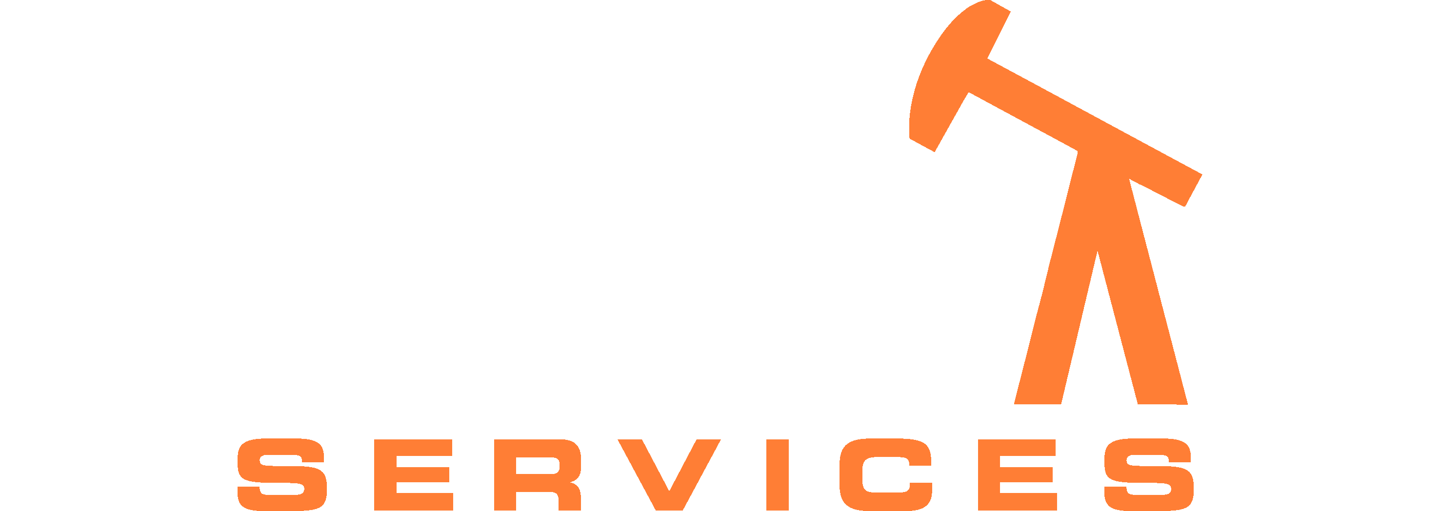 Devonian Services logo